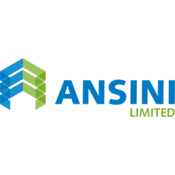 Ansini Limited logo
